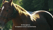 Itysl 106 GIF by Vulture.com