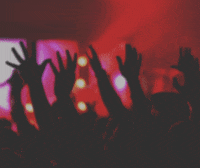 fantasticofestival birthday festival happy birthday music festival GIF