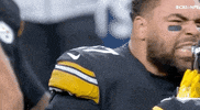 Pittsburgh Steelers Football GIF by NFL