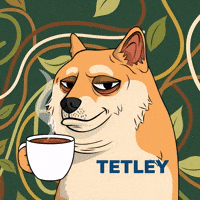 Shiba Inu Coffee GIF by Doge Pound