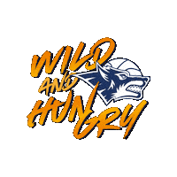 Bbl Sticker by Rostock Seawolves