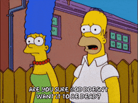 homer simpson episode 21 GIF