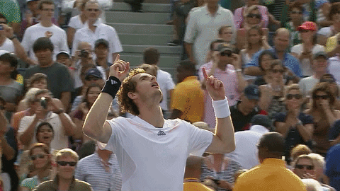 Happy Andy Murray GIF by US Open