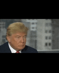 Trump Ice GIF