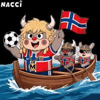 Fifa World Cup Football GIF