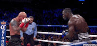 king kong punch GIF by SHOWTIME Sports