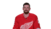 Red Wings Sport Sticker by Detroit Red Wings