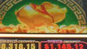 Pig Gambling GIF
