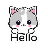 Cat Hello Sticker