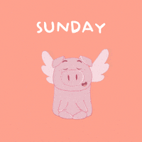 Flying Pig Weekend GIF by PositivelyPigasus