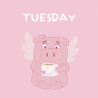 Flying Pig GIF by PositivelyPigasus