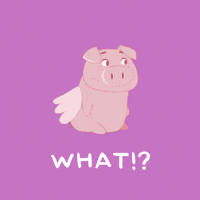 Excuse Me What GIF by PositivelyPigasus