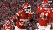 Super Bowl Sport GIF by NFL