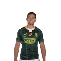 Rugby Sevens Reaction Sticker by World Rugby