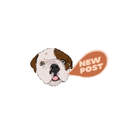 twotibetansdigital dog rainbow newpost camera Sticker