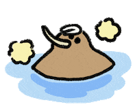 Kiwi Sticker