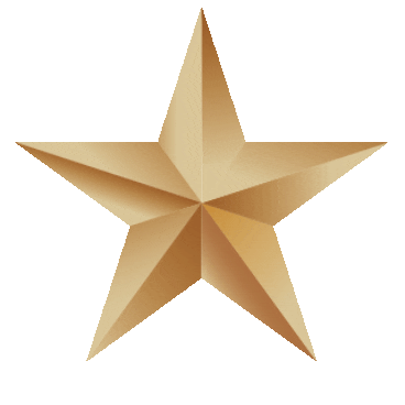 Star Gold Sticker by Bakkerij Voncken
