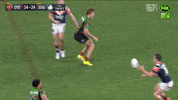Taane Milne GIF