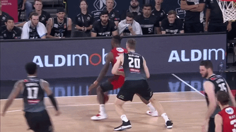 perthwildcats giphygifmaker wildcats perth perth wildcats GIF