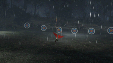 f13 game GIF