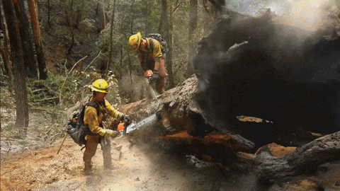 Us Army Faces GIF by Only_Reilly