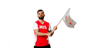 Virat Kohli Win GIF by Mobile Premier League