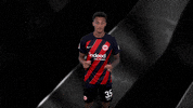 Dance Celebration GIF by Eintracht Frankfurt