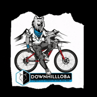 Mountain Bike GIF by @downhillloba_ofc
