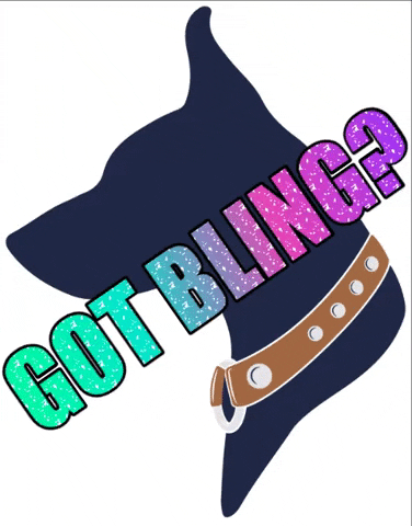 CollarAndRuff giphygifmaker dog collar collarruff collar ruff GIF