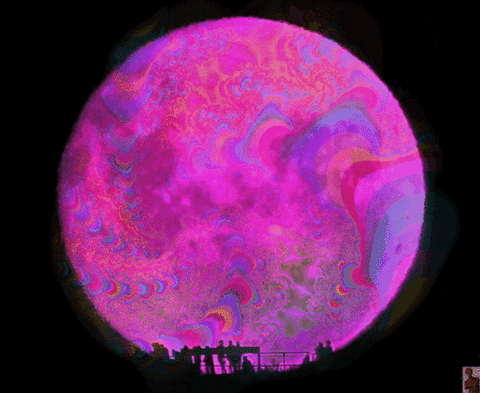 the moon pink GIF