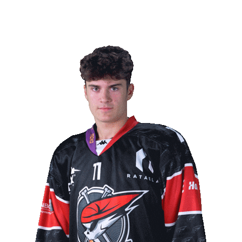 Heart Hokej Sticker by Piráti Chomutov