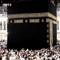 Faith Islam GIF by TRT
