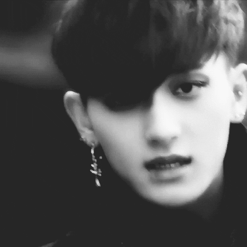 tao GIF
