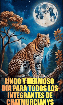 Happy Feliz GIF by Murcianys LLC