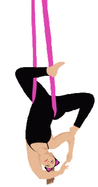 Cirque Circuslife Sticker by CT Aerial Yoga