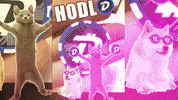 Shiba Inu Bitcoin GIF by DigiByte Memes
