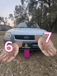 Ford GIF