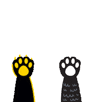 asafontana wolf wolves asa allegiance steam academy Sticker