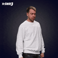 I Bet Not Cool GIF by SWR3