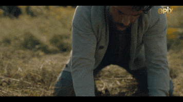 Excited Shaun Majumder GIF by FROM