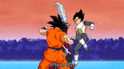 Training Sparing GIF