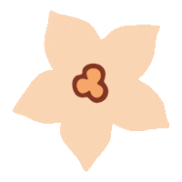 Blume Sticker by SalzburgMilch