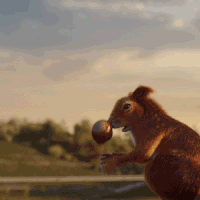 squirrel falling GIF by EnBW