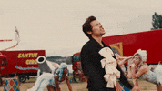 Daylight GIF by Harry Styles