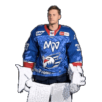 Hockey Goalie Sticker by Adler Mannheim