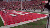 touchdown buckeyes ohio state michigan football nfl season GIF