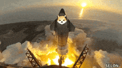 To The Moon Crypto GIF by Dogelon Mars