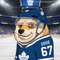 Toronto Maple Leafs Hockey GIF by Doge Pound