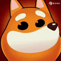 Close-Up GIF by BONK