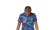 North Carolina Courage Sport Sticker by National Women's Soccer League